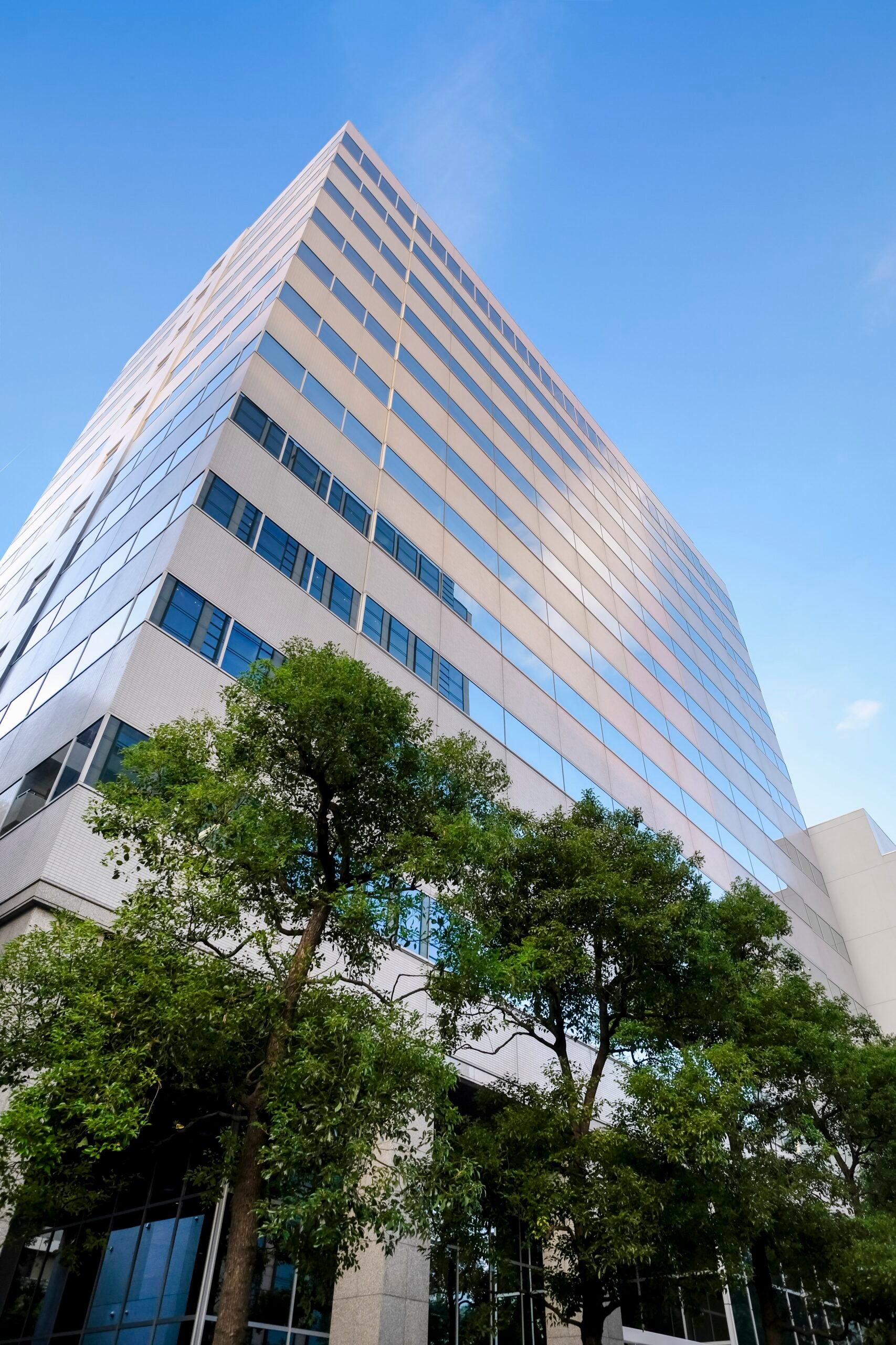 Architecture, Building, Office Building