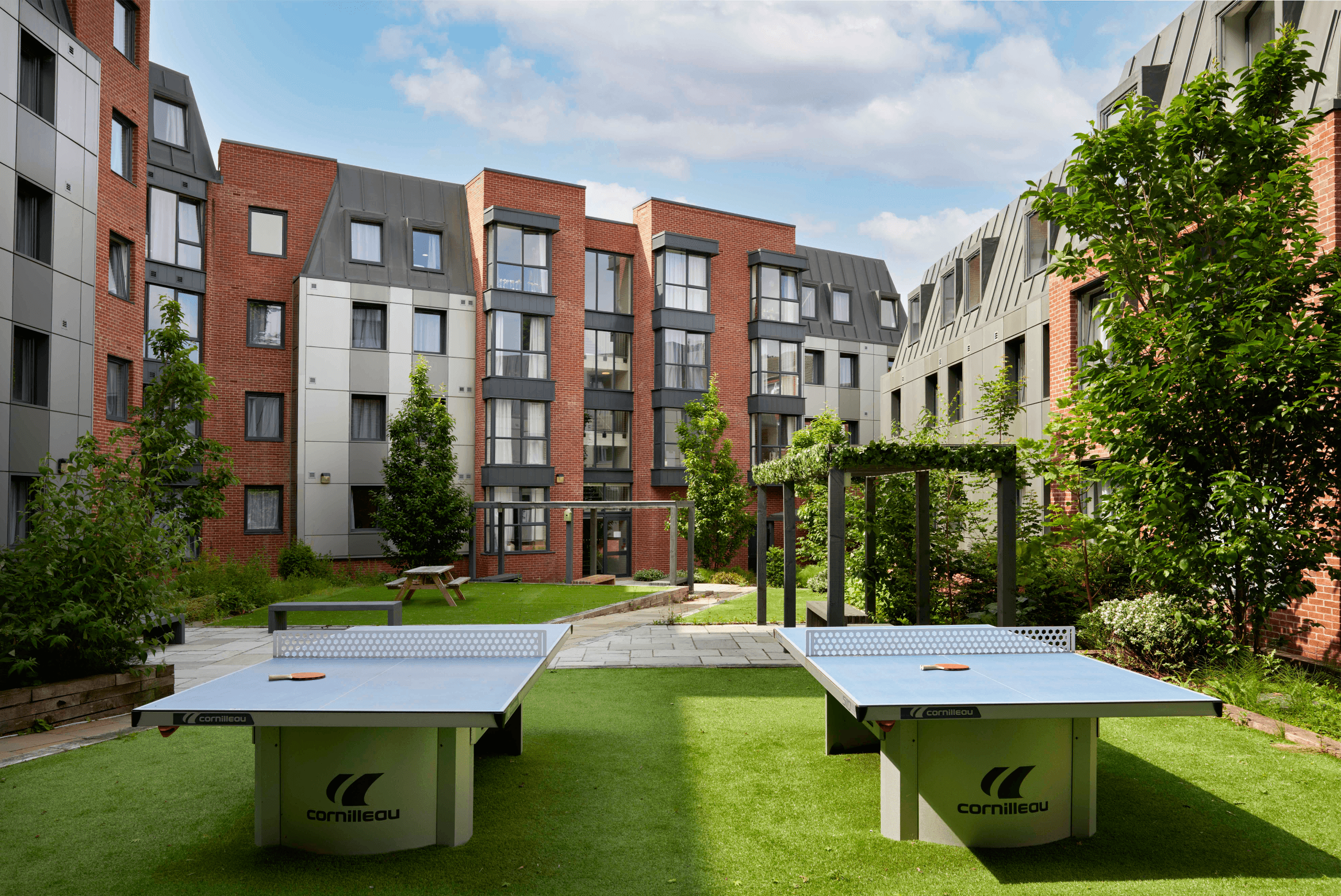 Ping Pong, Sport, City